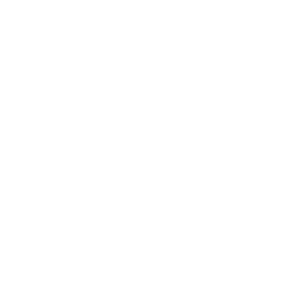 Omnichannel Support
