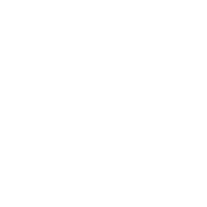 Omnichannel Support