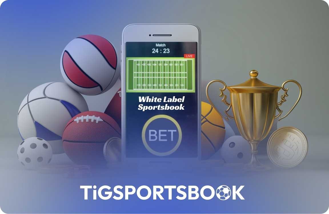 White Label Sportsbook_ The Fastest Way to Launch Your Betting Brand in 2026-compressed