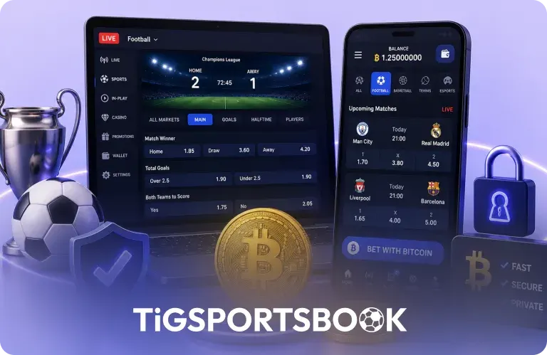 Bitcoin Sports Betting Software: What to Look for in the Platform Before You Commit